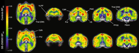 1-s2.0-S0278584624000381-gr4_lrg