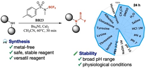 adsc202400412-toc-0001-m
