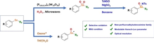 anie202300951-toc-0001-m