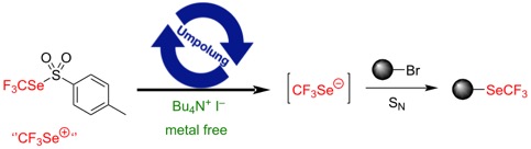 Capture d’écran 2020-12-11 à 05.39.09