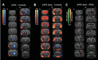 Capture d’écran 2021-08-24 à 16.44.25