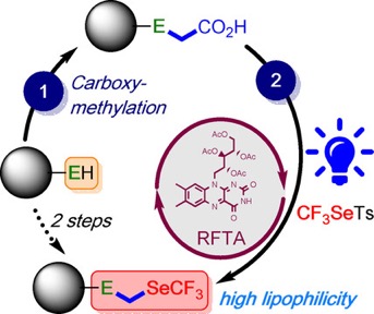 chem202100053-toc-0001-m