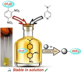 chem202102809-toc-0001-m