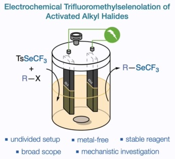 ejoc202200123-toc-0001-m