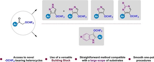 ejoc202300695-toc-0001-m
