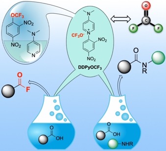 ejoc202400142-toc-0001-m