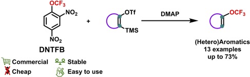 ejoc202400388-toc-0001-m